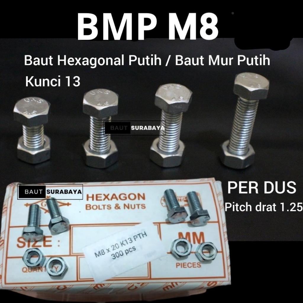 1 กล่อง BHP M8x15, M8x20 น็อตสีขาว 13 ปุ่ม น็อตหกเหลี่ยม