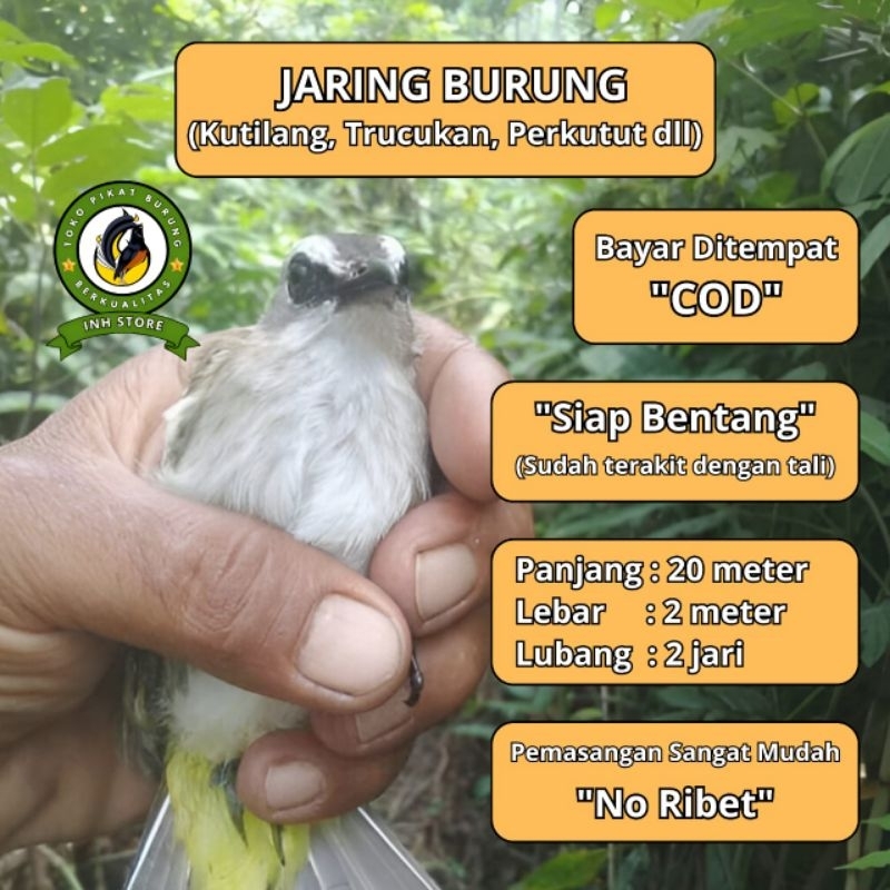 CRUCUK TRUCUK BIRD NET 2 IN NET READY TO NET 4 BAGS BIRD NET 2 BAGS BIRD NET 3 BAGS BIRD NET 4 BAGS 