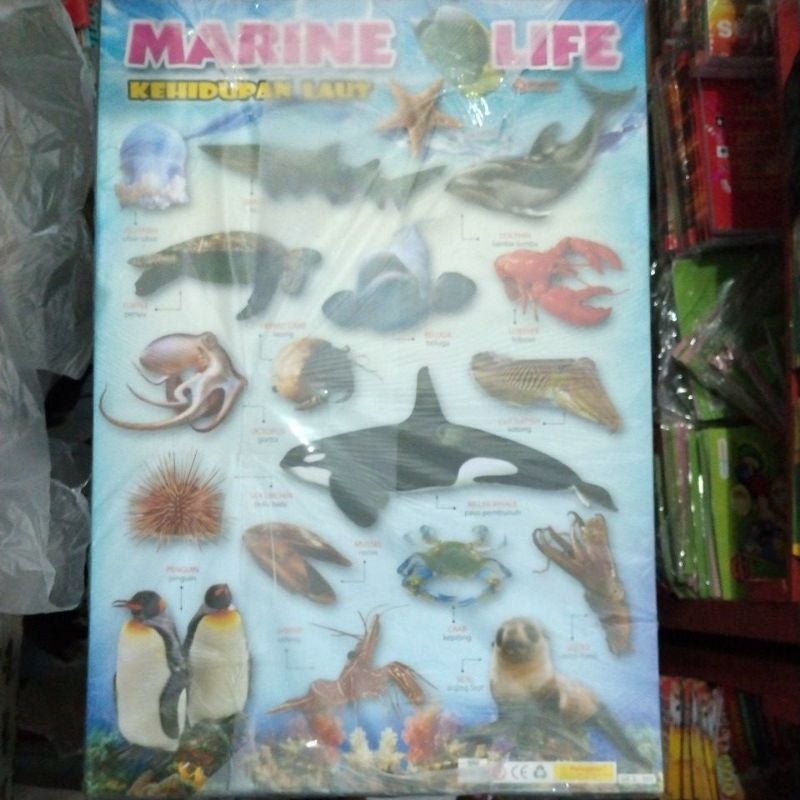 โปสเตอร์ Sea Life***
