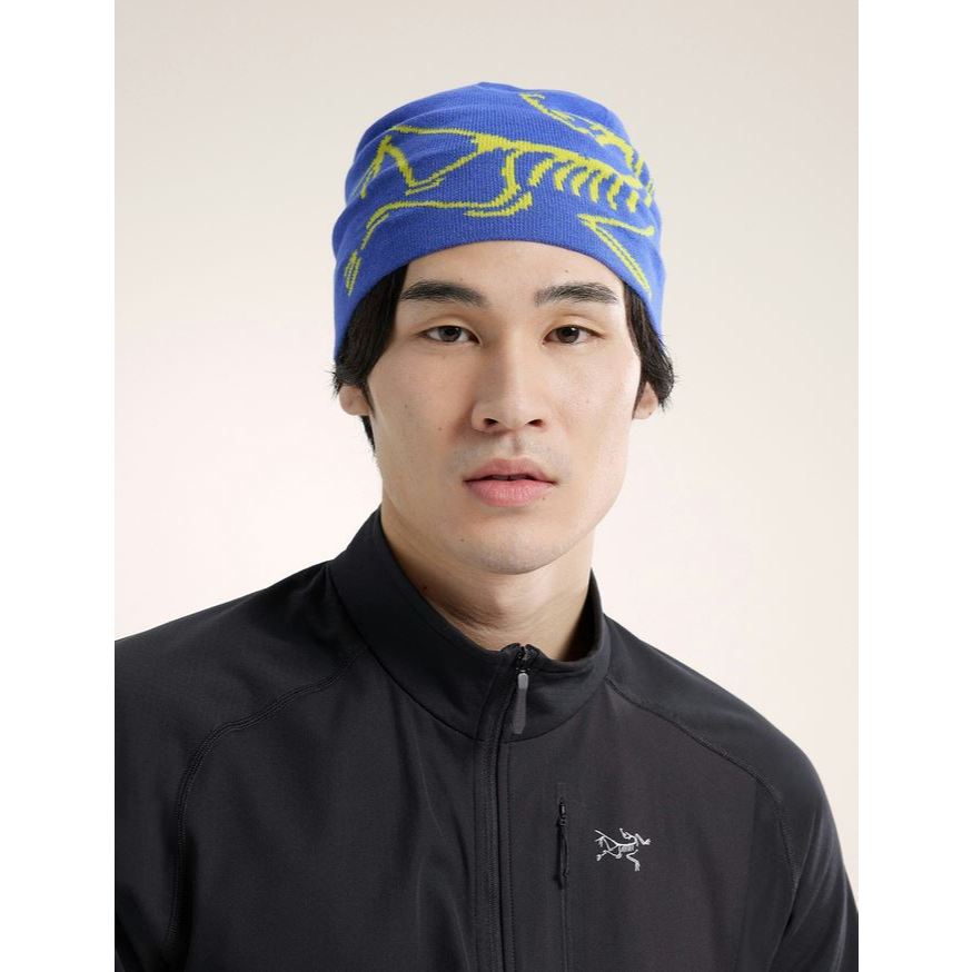 หมวก Arcteryx Bird Head Toque Electra/Euphoria Original
