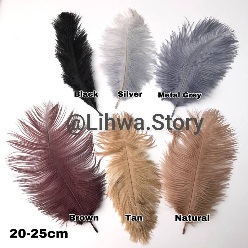 1 ชิ้น - 20 CM - 25 CM / OSTRICH FEATHER / DECORTATION / FASHION / HAIRPIECE / HEAD DECORATION / DEC