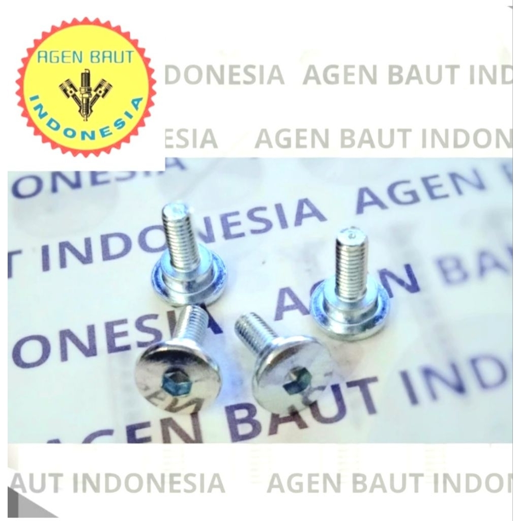 Honda Fender Bolts 10 / M6x18 Bolts L5 Key