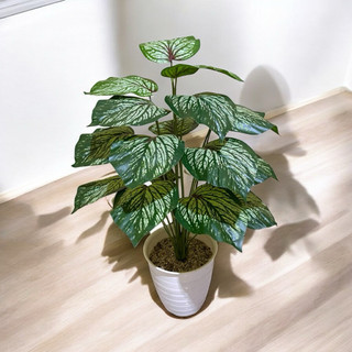 keladi hijau MOTIV X18 artificial dengan pot pirus