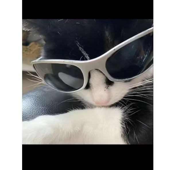 WTS วิกผมคอสเพลย์ (วิกผม ivan alien stage, วิกผมเคนม่า) ตรวจสอบคําอธิบายก่อน