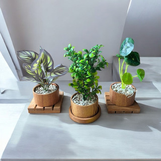paket 3pcs SEMDOLTUS artificial vas AESTHETIC
