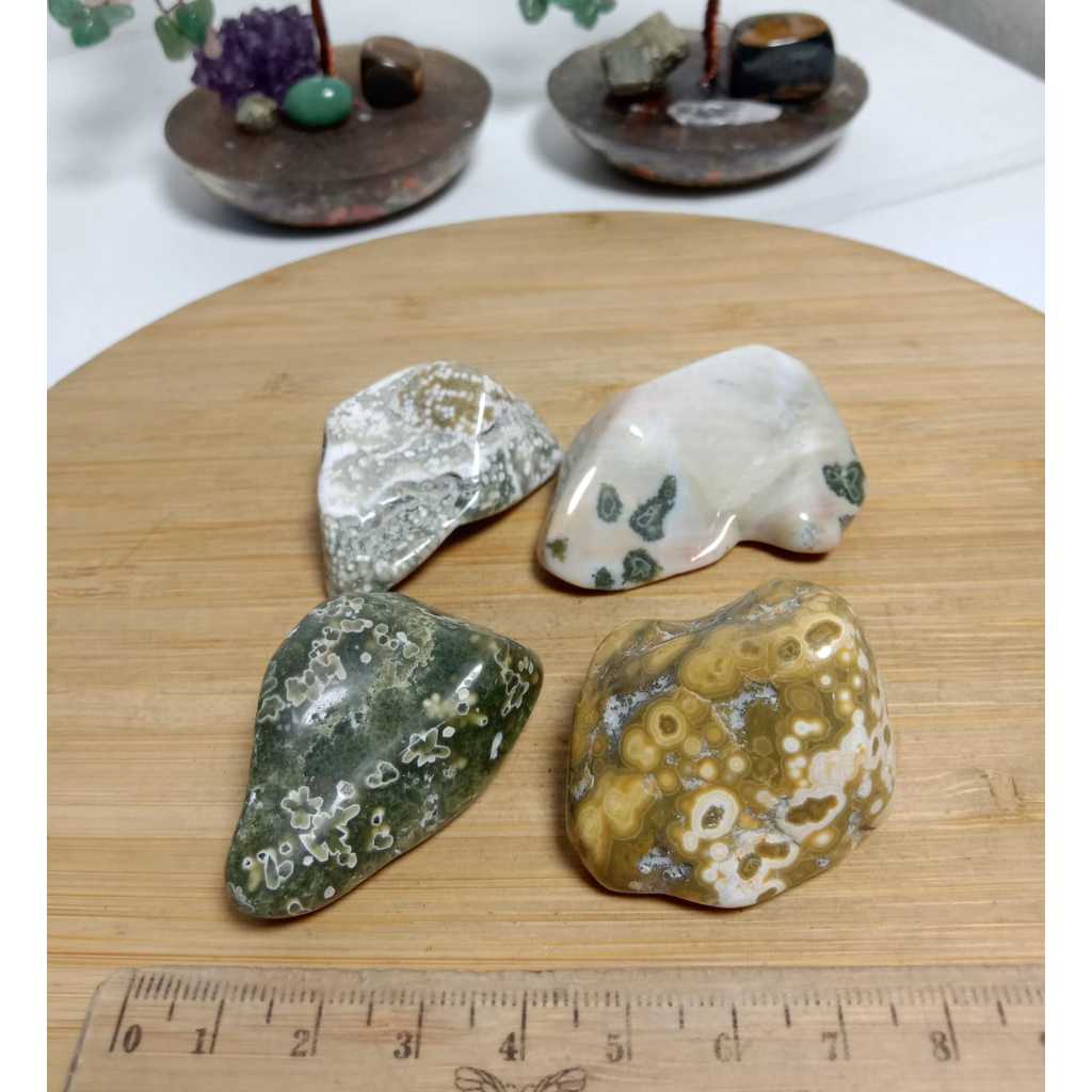 Natural Ocean Jasper Trumble Chips Package (1)