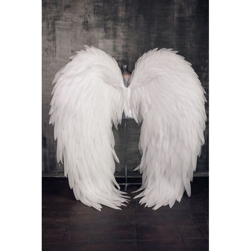 พิเศษ JUMBO PE FOAM ANGEL WINGS