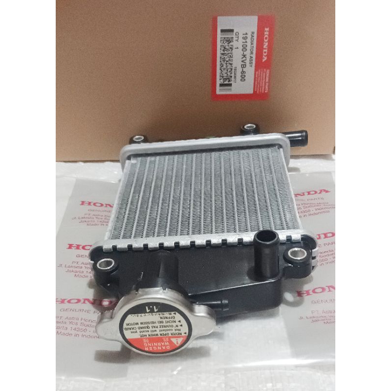 RADIATOR ASSY QM VARIO 110 TECHNO คาร์บอน VARIO 110 คาร์บอน, VARIO 110 TECHNO, VARIO 110 เก่าคุณภาพส