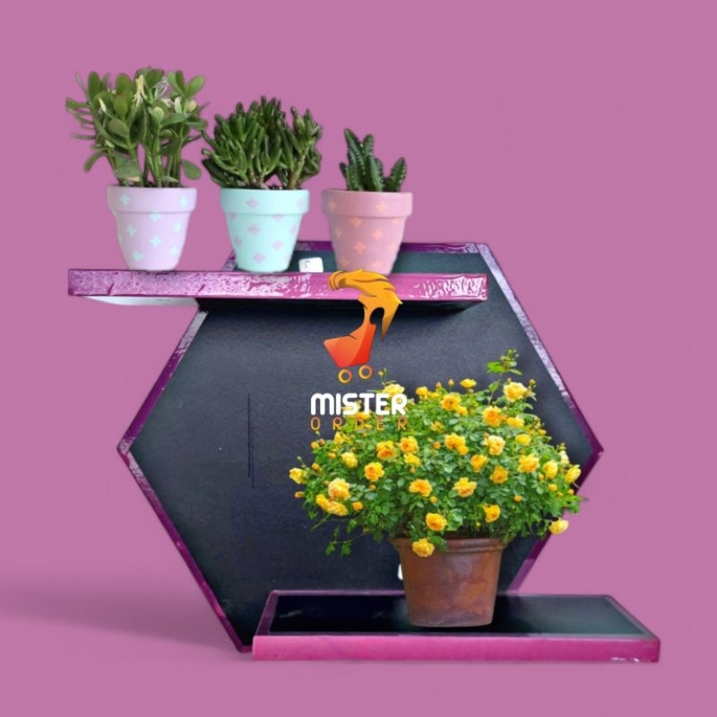 HEXAGONAL WALL SHELF SINGLE RKA081 - MINIMALIST WALL SHELF - MISTER ORDER DISPLAY WALL SHELF