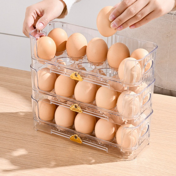 EGI EGG RACK EGG กล่องเก็บของ / 10-COMPANIMENT EGG PLACE / 1-LAYER EGG CONTAINER กล่อง