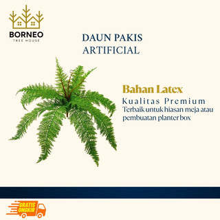 Artificial Daun Pakis (D76 - 12) Borneo Tree House - 58cm | Dekorasi Rumah dan Kantor Kekinian