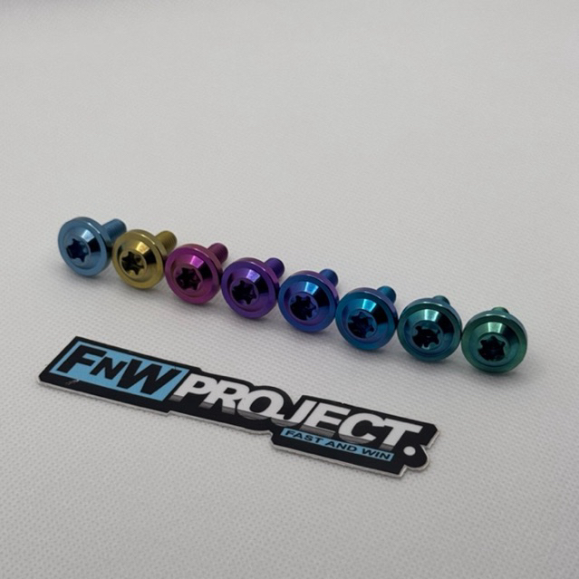 M6 TITANIUM BOLT 10 BIGHEAD THREAD