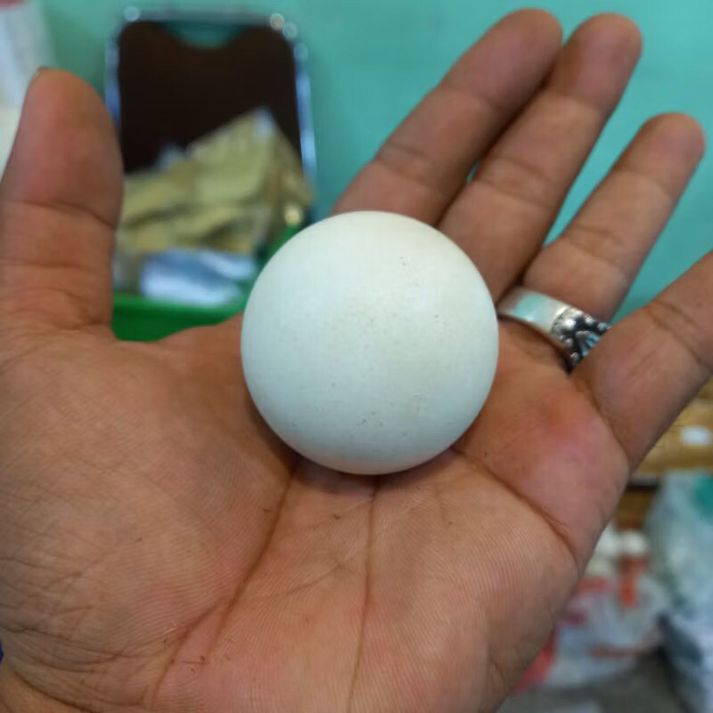ORIGINAL NATURAL JUMBO TIDAR STONE ANTI-SHARP