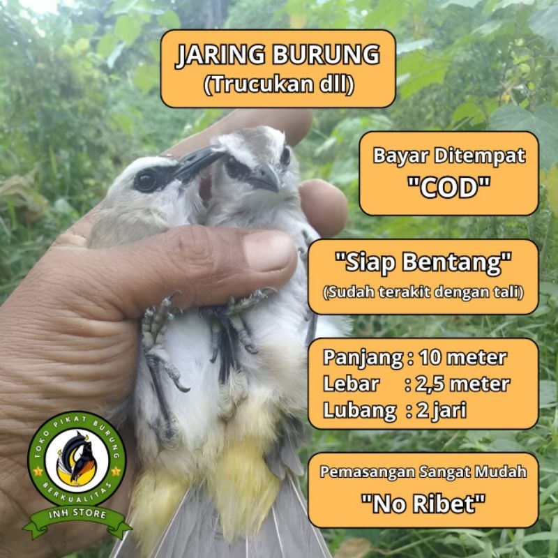 CRUCUK TRUCUK BIRD NET 2 IN NET READY TO NET 4 BAGS BIRD NET 2 BAGS BIRD NET 3 BAGS BIRD NET 4 BAGS 