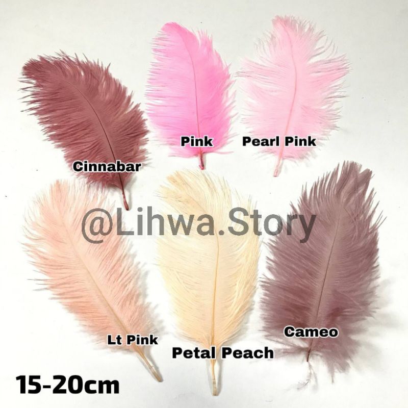 1 ชิ้น - 15 ซม - 20 ซม | OSTRICH FEATHER DECORTATION / FASHION / HEADPIECE / HEAD DECORATION