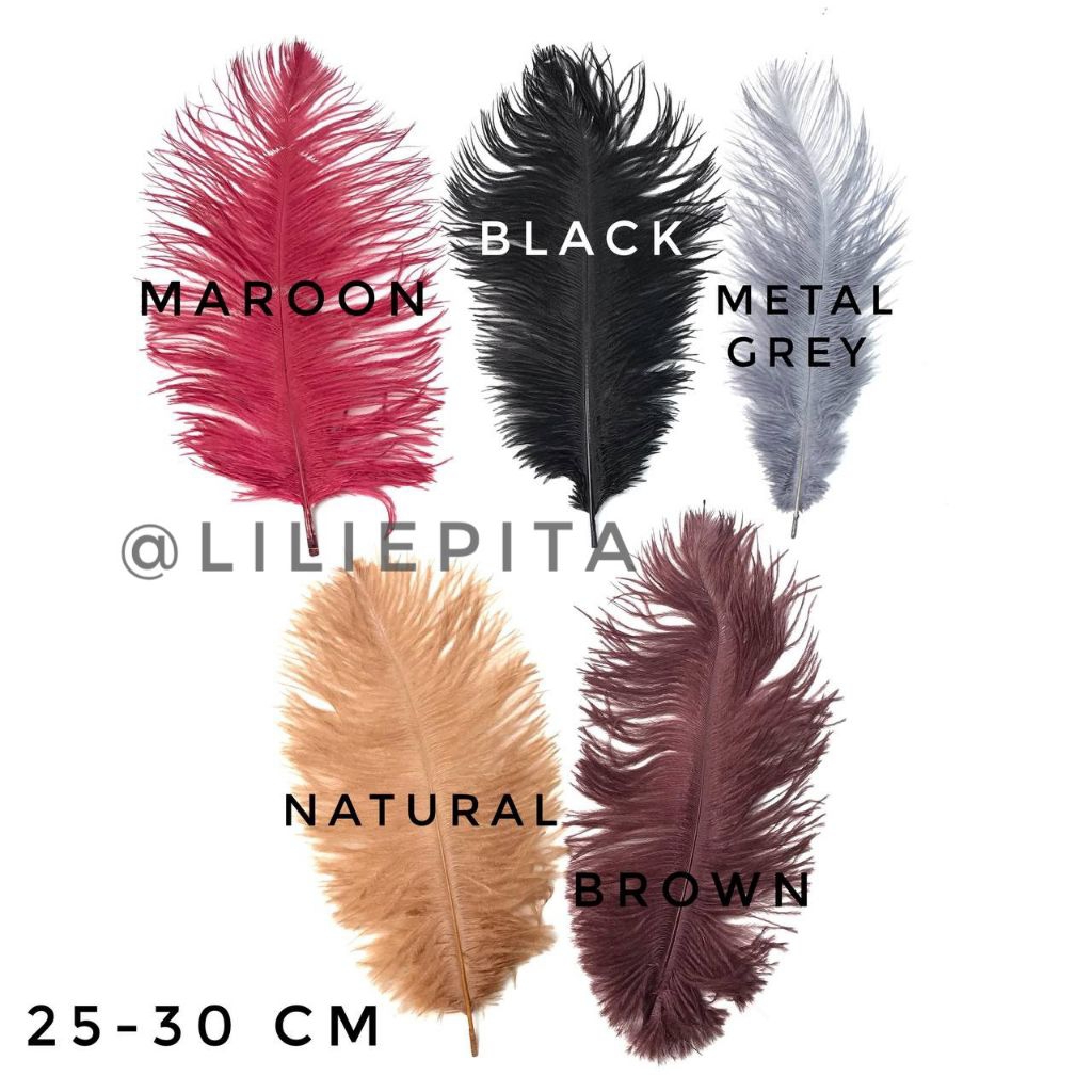 ต่อ 1 ชิ้น - ขนาด 25 ซม. - 30 ซม. / DECORATIVE GRAIN FEATHER / OSTRICH GRAIN FEATHER