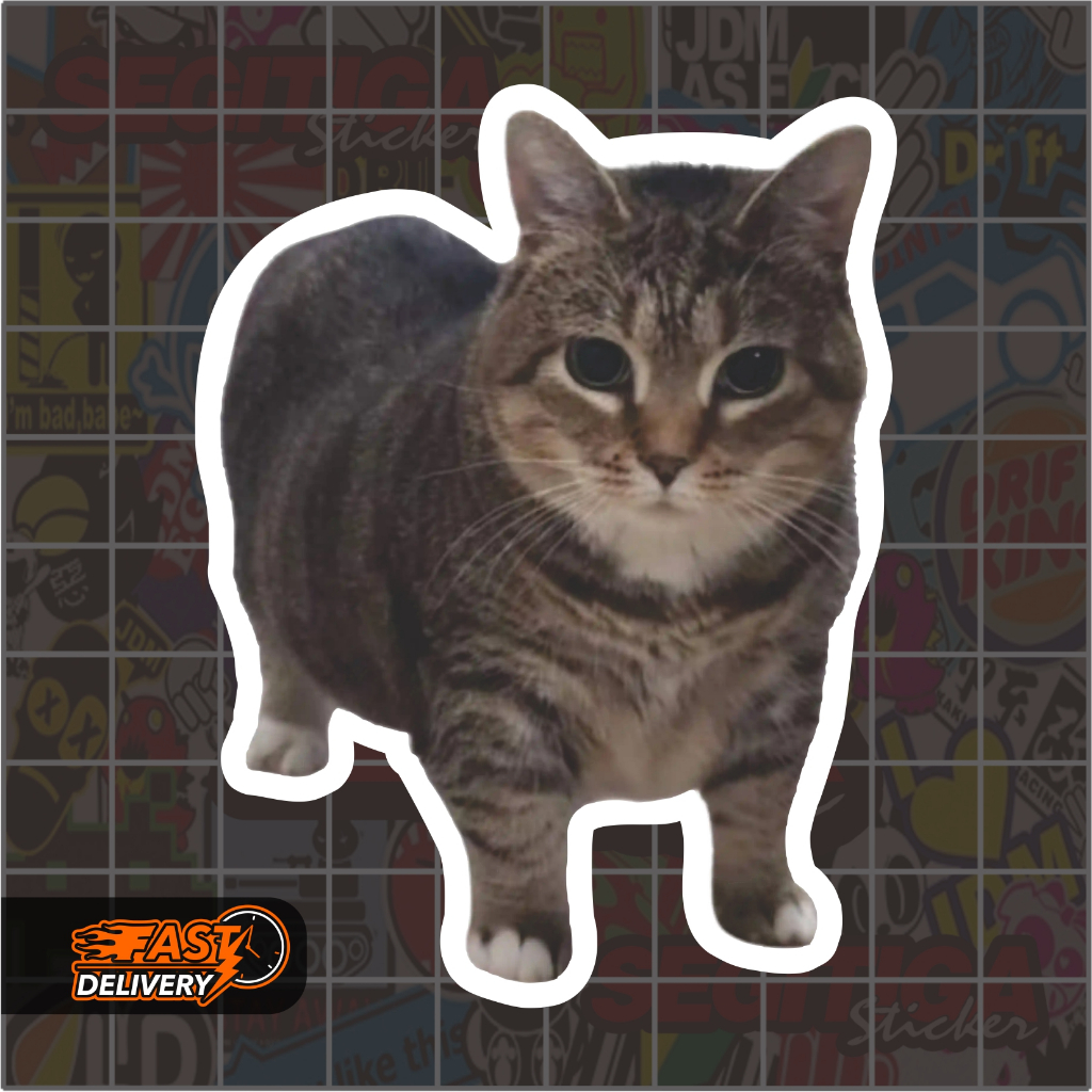 OIA CAT STICKER (CAT AKMAL) ขนาด 4 x 5 Cm