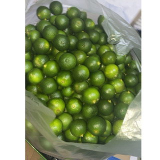 1KG JERUK SONKIT/ SEGAR FRES (KECIL)