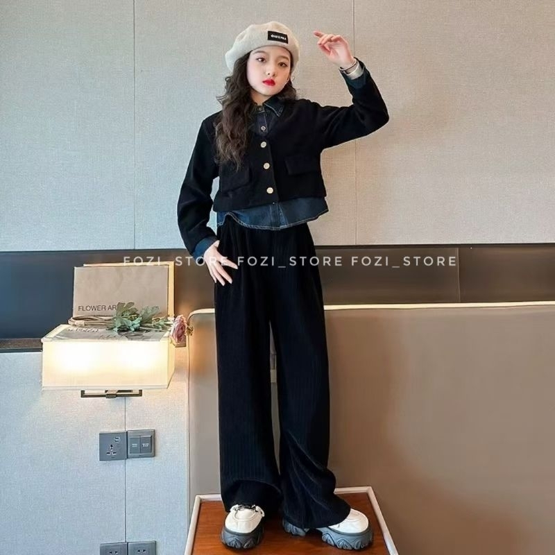 การตั้งค่า ( FZ300A )