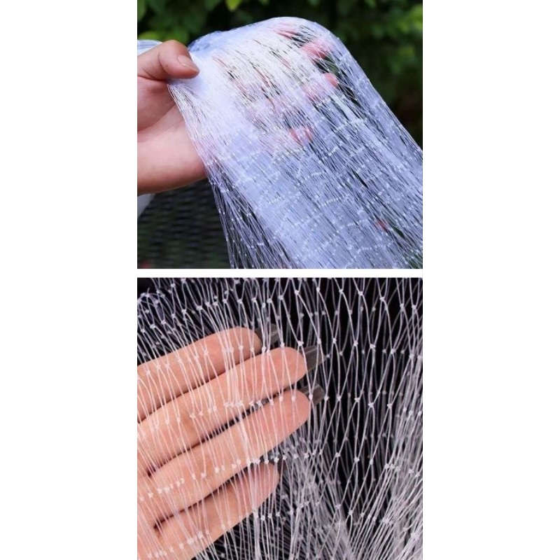 BIRD NET/ FISH NET**