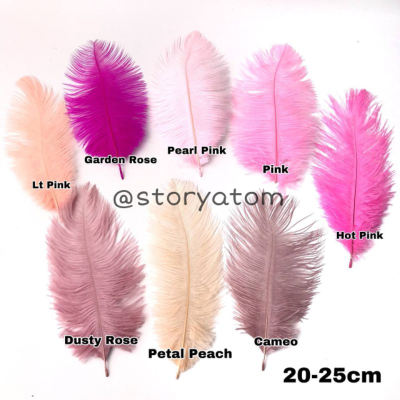ต่อ 1 ชิ้น - 20 ซม. - 25 ซม. / OSTRICH FEATHERS / DECORATION FEATHERS / HEADPIECE FEATHERS / FEATHER