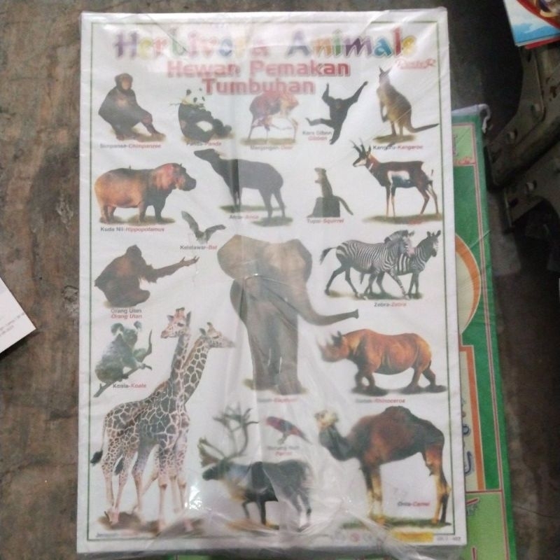 โปสเตอร์สัตว์ Herbivore