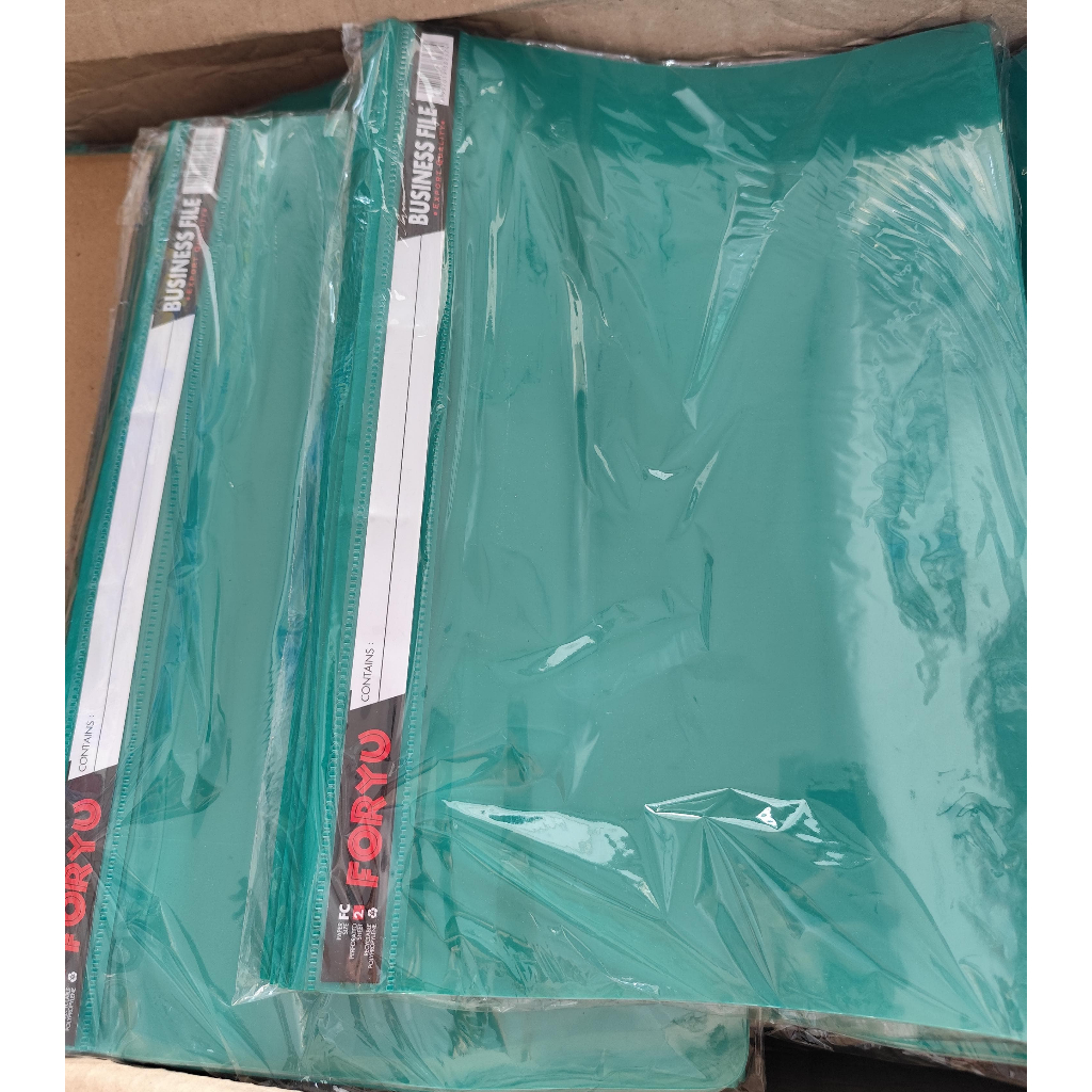 BUSINESS FILE F4 FORYOU / BUSINESS FILE FOLIO / PACK / LSN