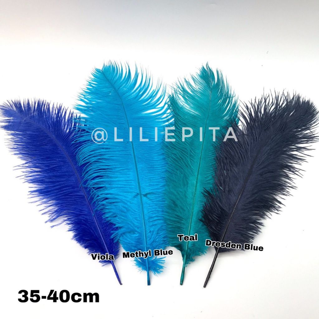 ต่อ 1 ชิ้น - ขนาด 35 ซม. - 40 ซม. / DECORATIVE GRAIN FEATHER / OSTRICH GRAIN FEATHER