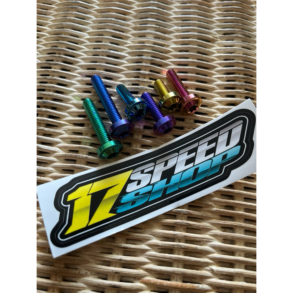 BOLT TITANIUM M 6 THREAD 10 DIAMETER 13D TITANIUM GR5