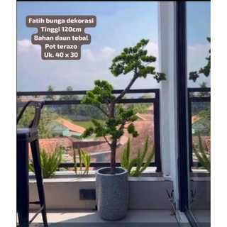 Pohon Bonsai Cemara Udang/Pohonnya Saja/Pohon Hias Plastik/Pohon Artificial