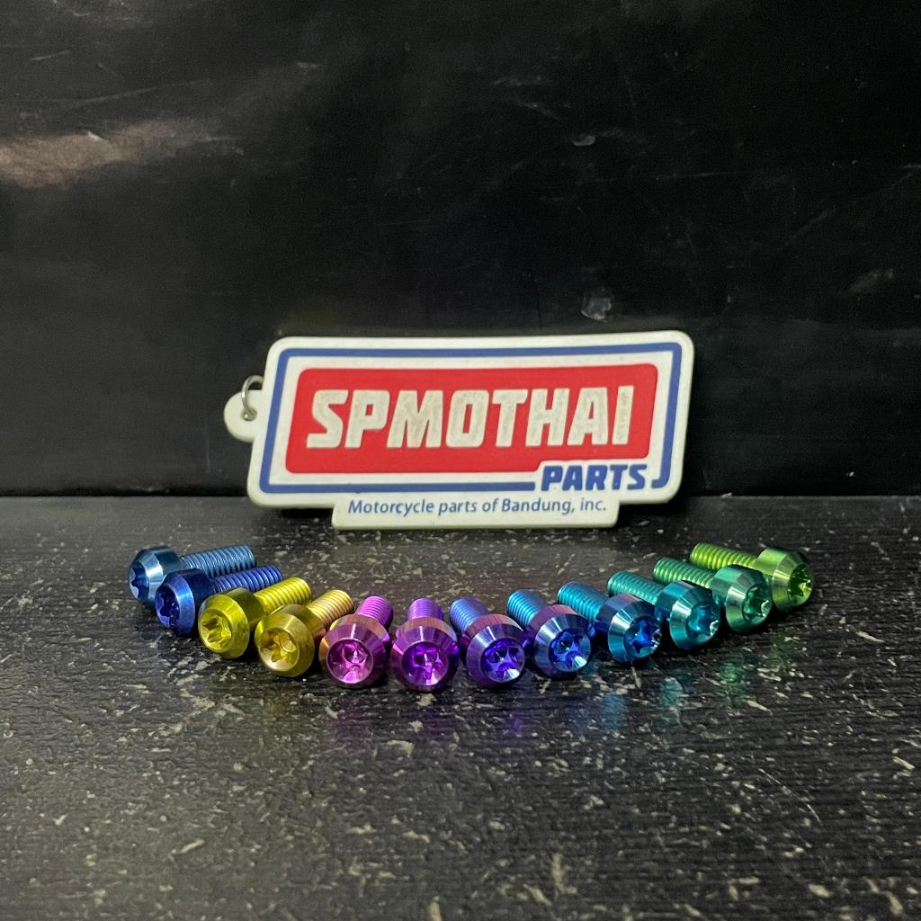 M6 BOLT / 10X15 TITANIUM SMALLHEAD THREAD