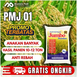 BIBIT PADI BENIH PADI PREMIUM PMJ 01  BERKUALITAS KEMASAN 5KG