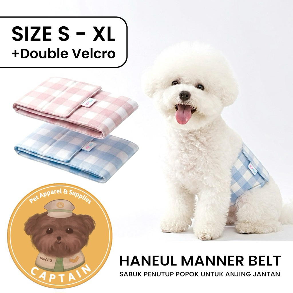 DOG MANNER BELT HANEUL ชายสุนัข DIAPER COVER ANTI MARKING PAMPERS PET DIAPERS POODLE BICHON ส้มโอ