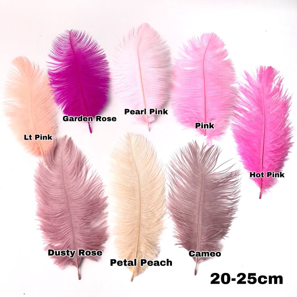 1 ชิ้น - 20 CM - 25 CM / OSTRICH FEATHER / DECORTATION / FASHION / HAIRPIECE / HEAD DECORATION / DEC