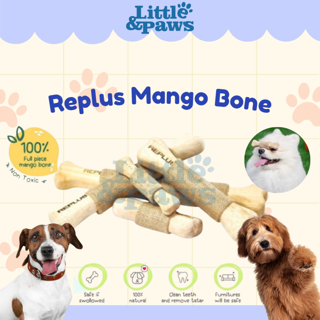 Replus Mango Bone Mango Wood Chew สําหรับสุนัขทําจาก 100% จาก Mango Tree Wood Dog Bite Toy