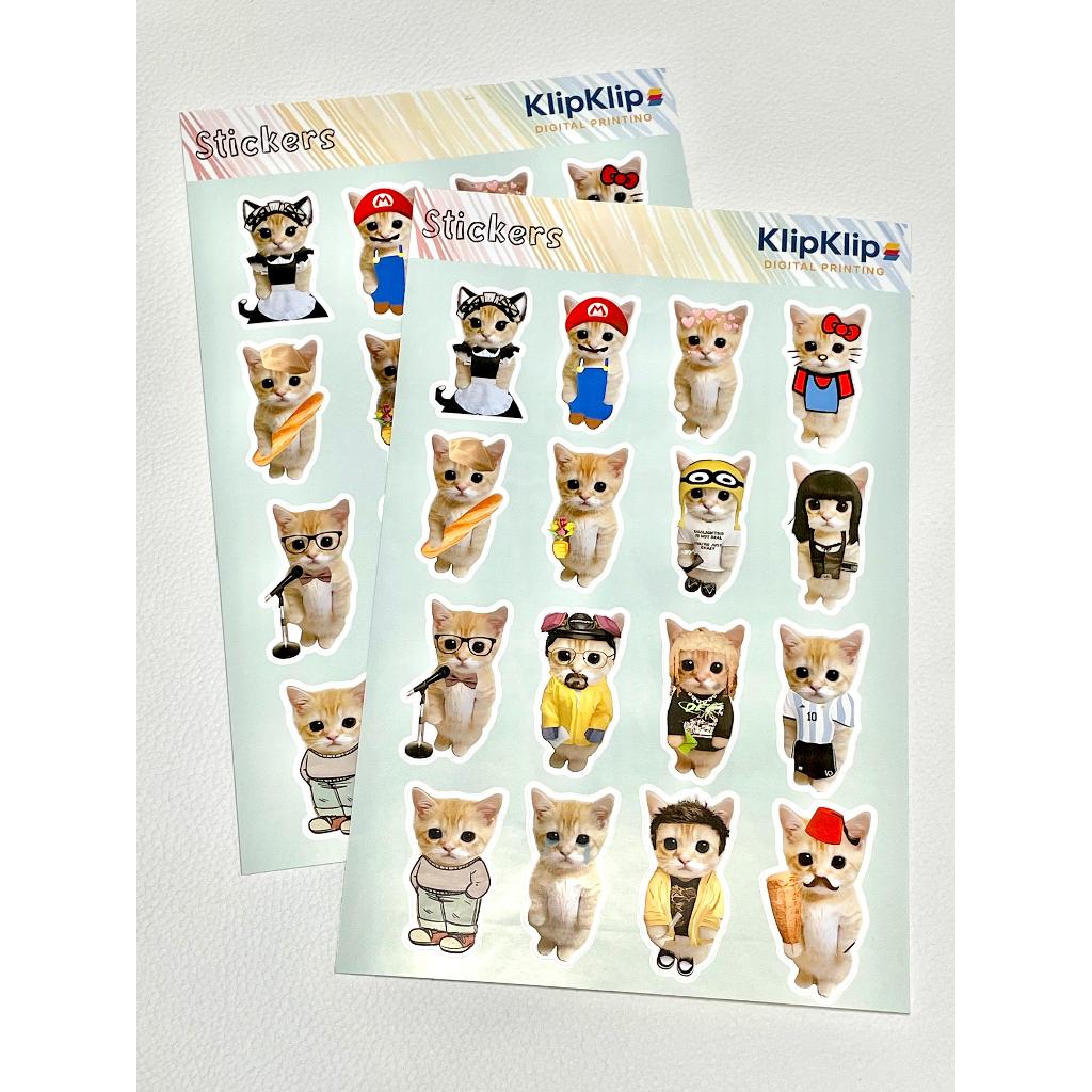 Cat Sticker Pack Meme Cute Dudl Sticker ขนาด 3.5 ซม. - KK