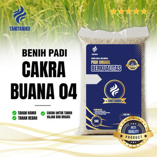 Benih padi bibit padi CAKRABUANA 04 panen cepat original kemasan 5 kg