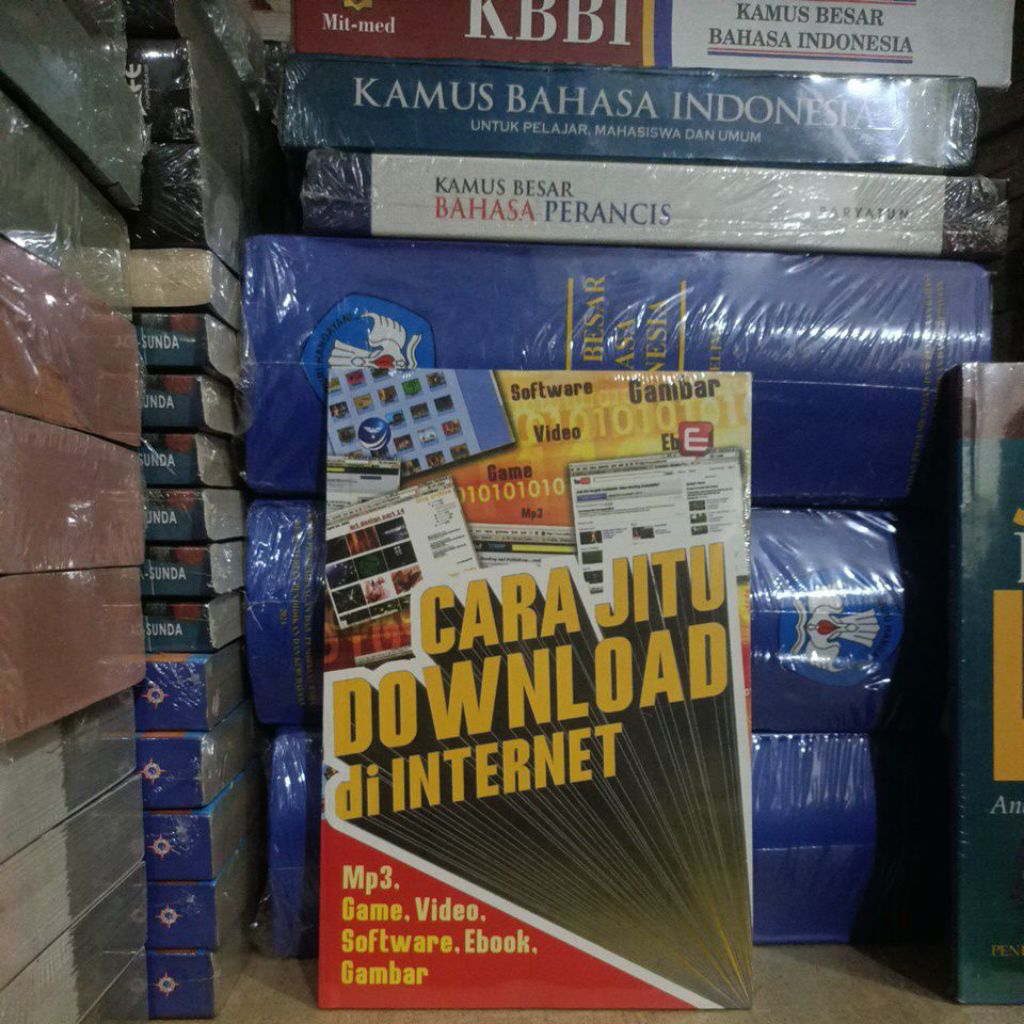 หนังสือ HOW TO DOWNLOAD AT INTERNET MP3 วิดีโอเกม SOFTWARE PICTURE