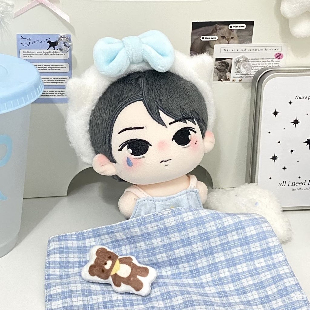 10 ซม.KPOP DOLL ENHYPEN JAY TEARS JAY PARK JONGSEONG