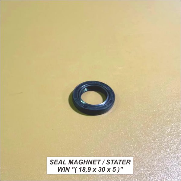 Win Starter Magnet Seal "(19.9 x 30 x 5 )"