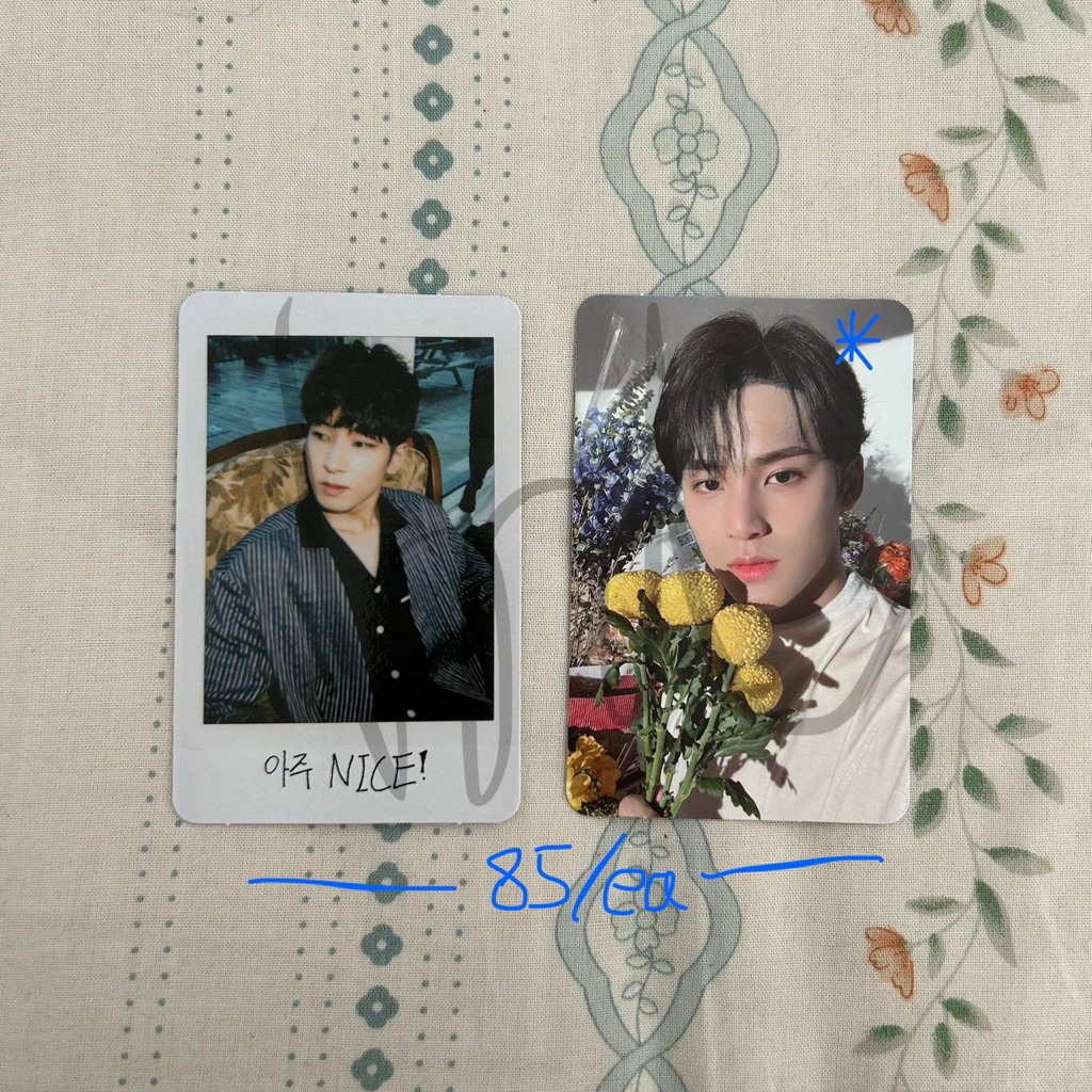 โฟโต้การ์ด Seventeen wonwoo & mingyu