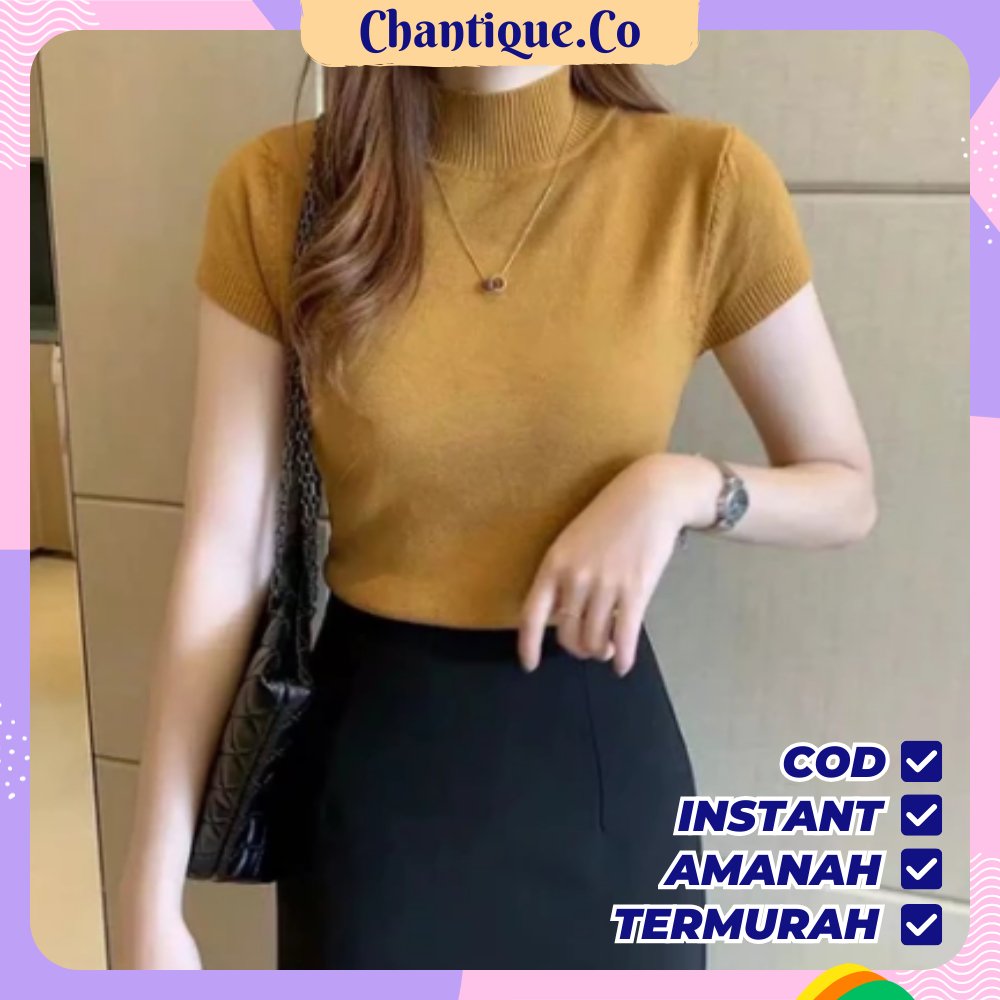 Carenina T-shirt RIB Striped Shirt (LD 80, P 40) / เสื้อยืดคอเต่าคอเต่าธรรมดาเกาหลี Viral