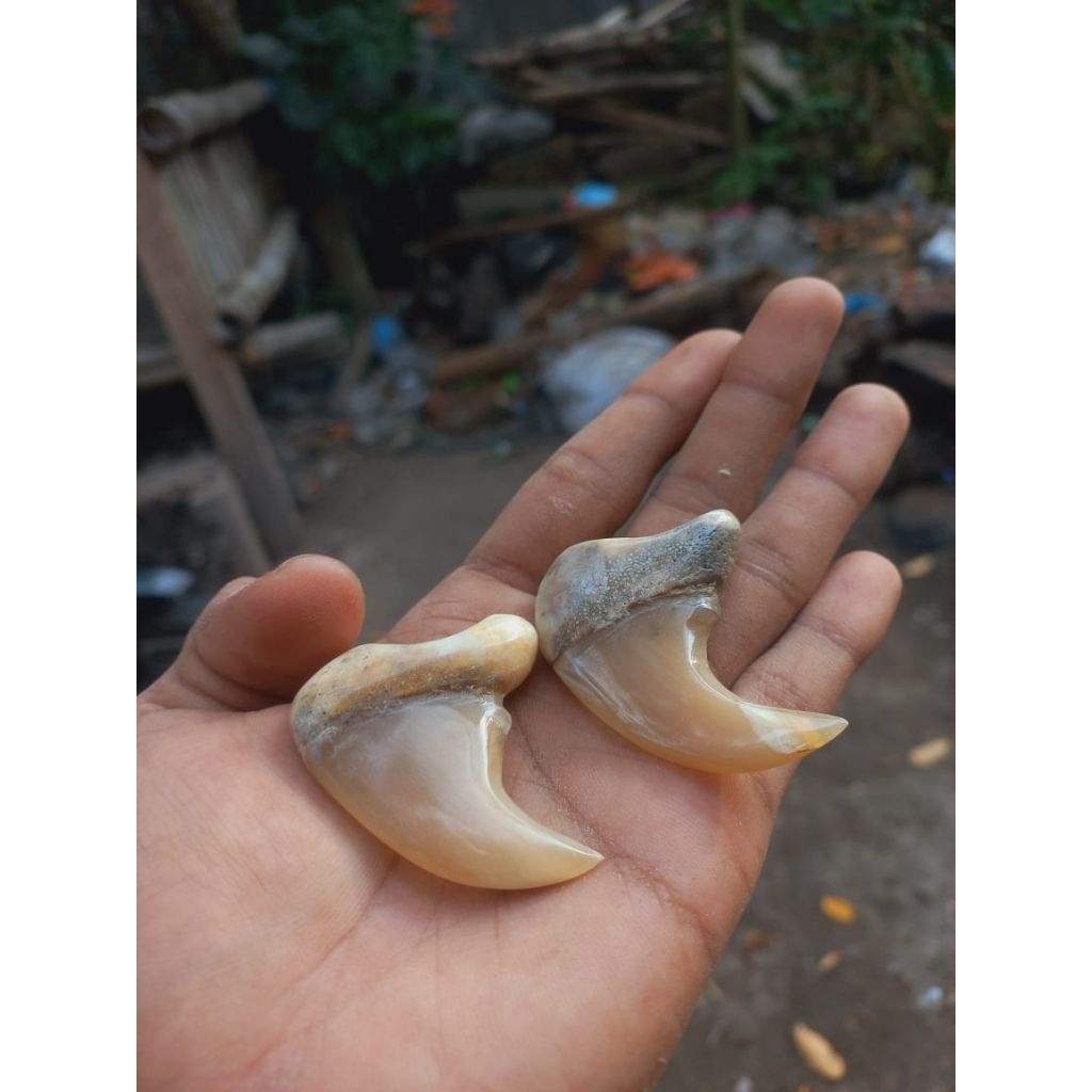 จี้และสร้อยคอเล็บ mcn ธรรมชาติดั้งเดิม