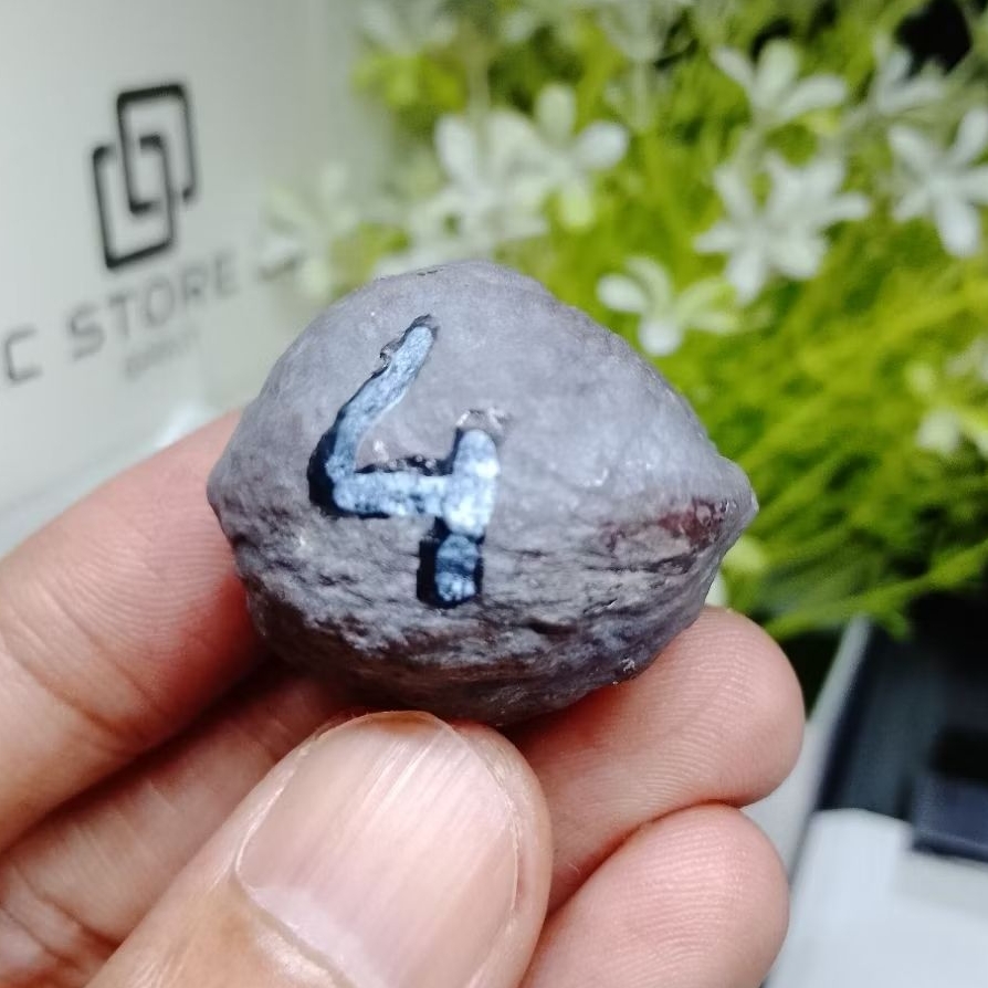 YANTI SAVAGE Adu Muncang รหัส 4