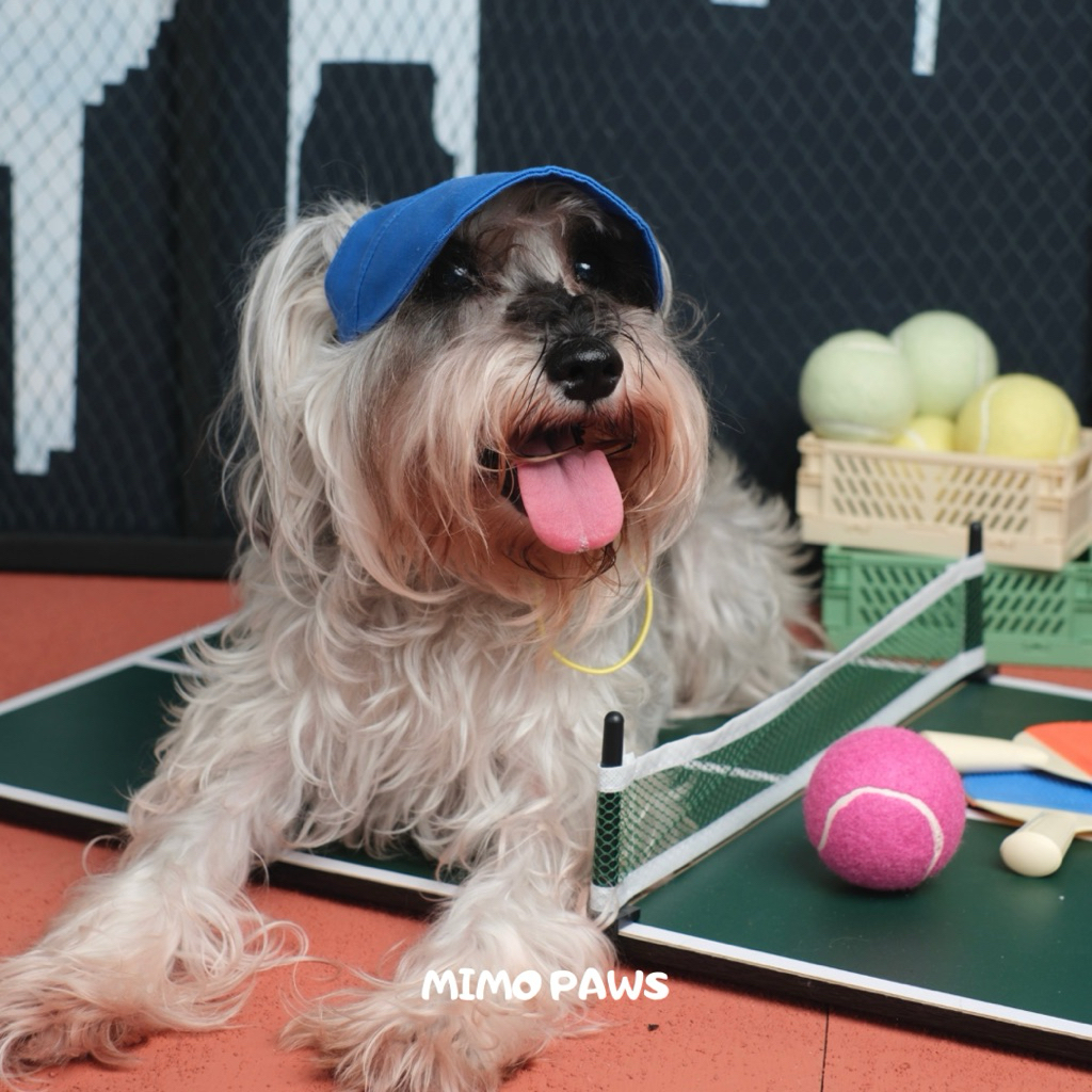 MIMO PAWS | M สําหรับหมวกสัตว์เลี้ยงแม่