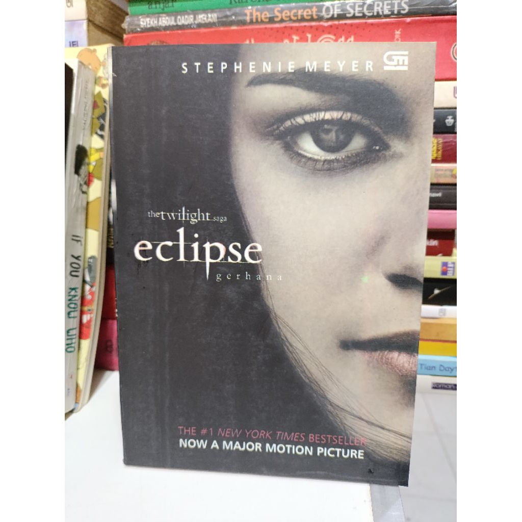 Ellipse Novel - เมเยอร์ สตีเฟ่น