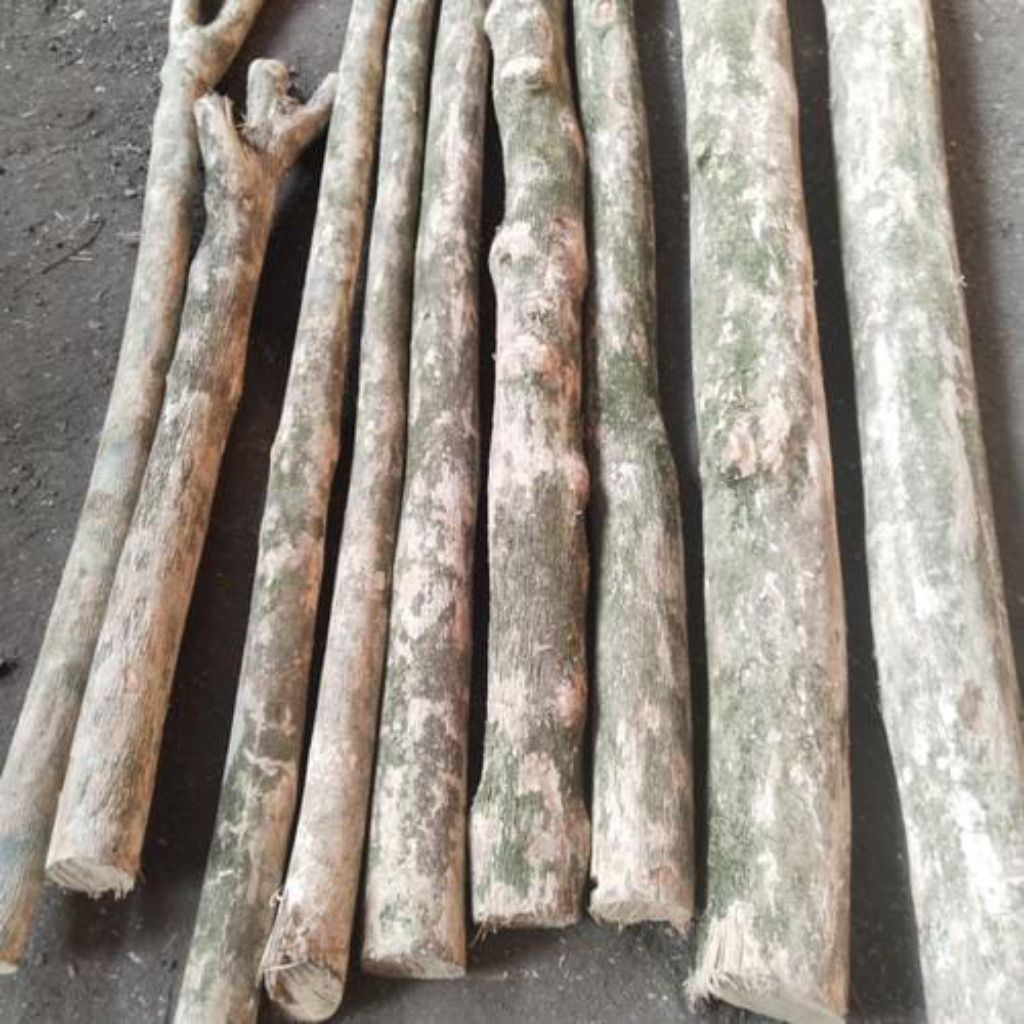 ไม้กาแฟสําหรับตกแต่งบ้านเส้นผ่าศูนย์กลาง7ซมยาว120ซม