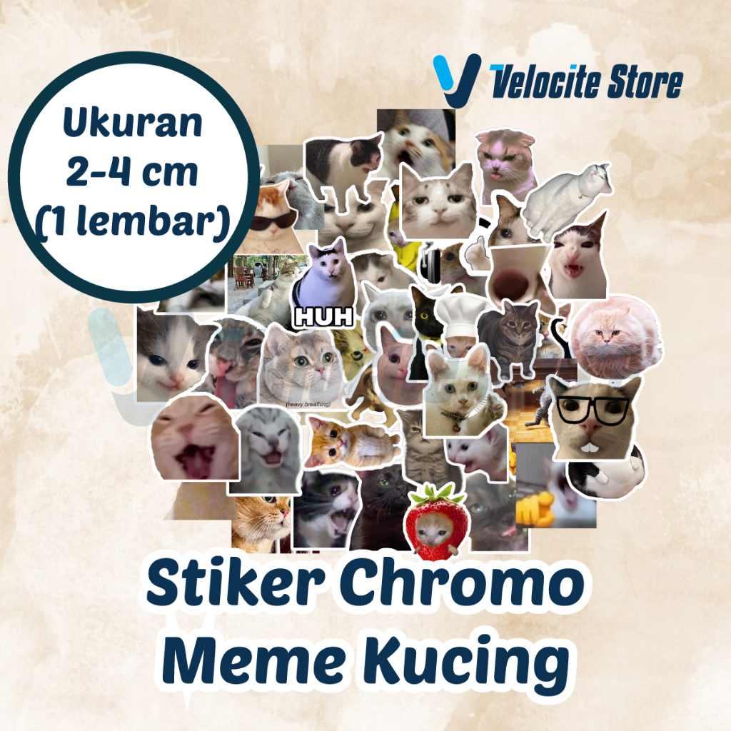 Chromo Meme Cat Sticker ขนาด 2-4 ซม. (1 แผ่น)