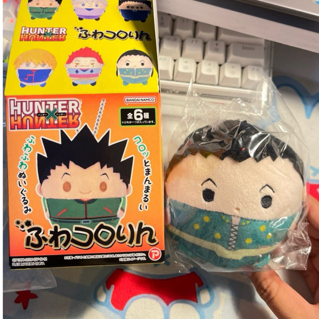 พร้อม Fuwa Illumi HunterxHunter