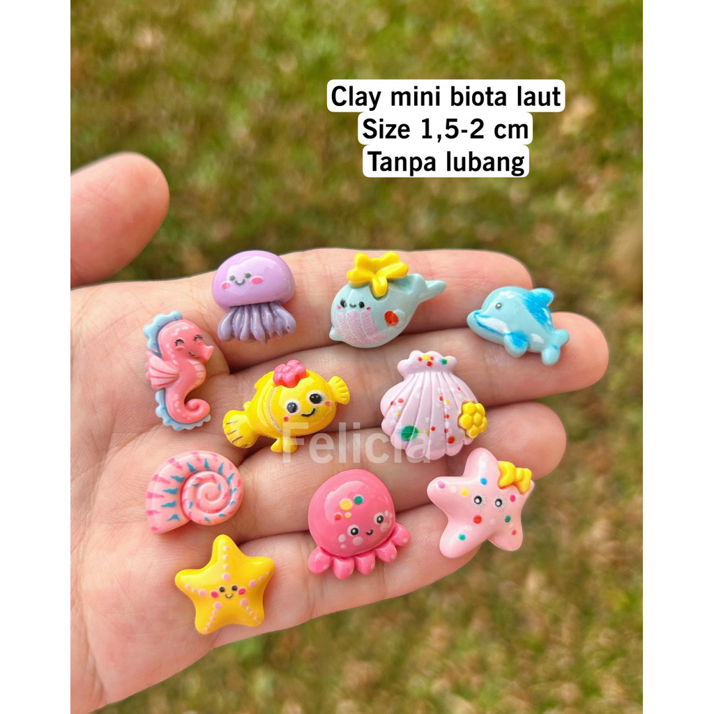 [10 ชิ้น] mini Clay ไม่มีรูทะเล biota